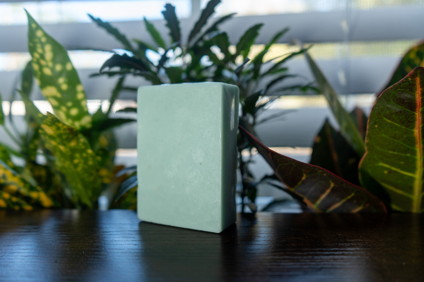 BREATHE DEEP BAR eucalyptus, tea tree and peppermint